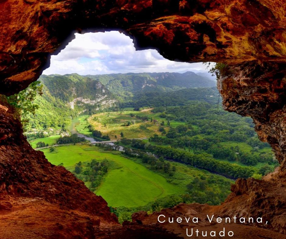 Bee Inn Puerto Rico Charming Urban Apartment In 산후안 외부 사진